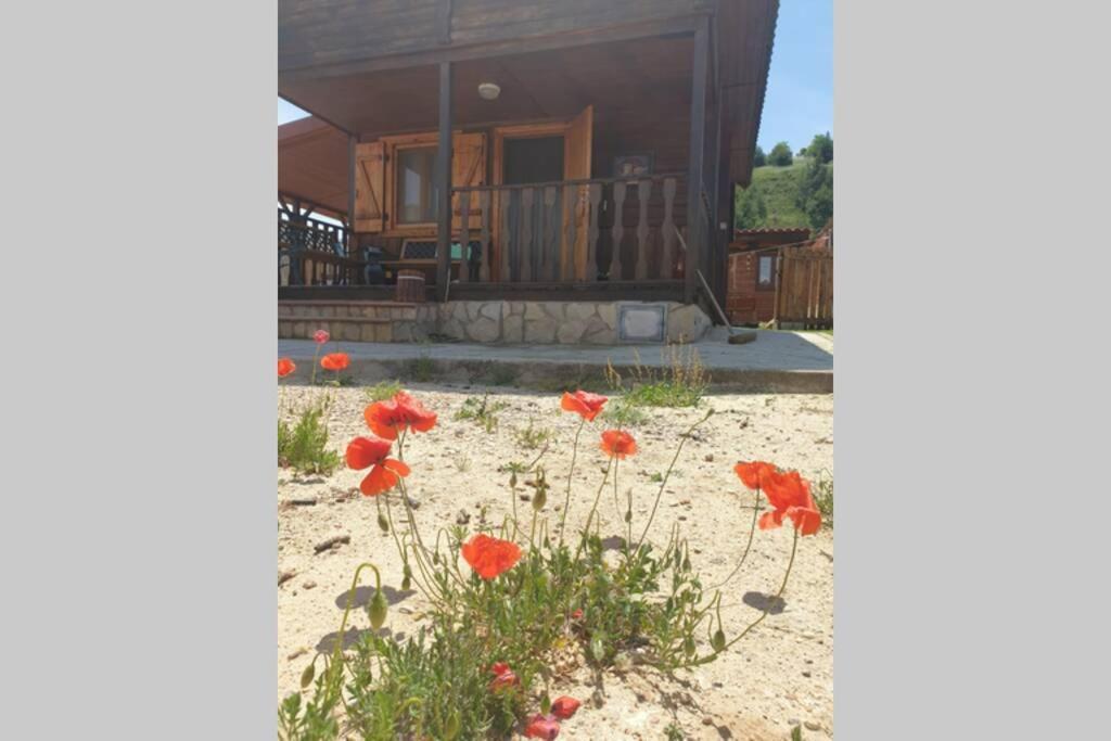Cabana De Madera Especial Y Acogedora Cardenete Exteriör bild